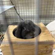 ヒメ日記 2025/10/17 05:46 投稿 秋乃ちふゆ 五十路マダムエクスプレス船橋店(カサブランカグループ)