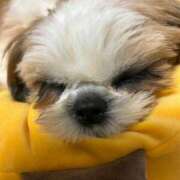 ヒメ日記 2025/10/25 14:34 投稿 秋乃ちふゆ 五十路マダムエクスプレス船橋店(カサブランカグループ)