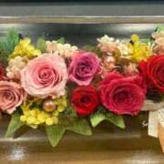 ヒメ日記 2025/11/08 12:18 投稿 秋乃ちふゆ 五十路マダムエクスプレス船橋店(カサブランカグループ)