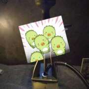 ヒメ日記 2025/12/28 05:57 投稿 かえで The White