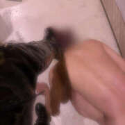 ヒメ日記 2025/11/06 08:47 投稿 桐生　美琴 踏み活