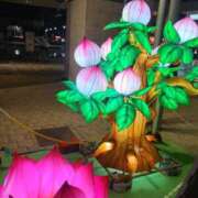 ヒメ日記 2026/02/25 23:45 投稿 友坂みさき ミセス・レヴォアール～再会～