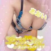 ヒメ日記 2025/10/24 16:06 投稿 あおい 美熟女倶楽部Hip's 春日部店