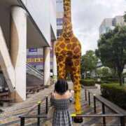 ヒメ日記 2025/10/27 12:22 投稿 レオン 千葉美女革命