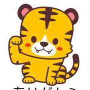 ヒメ日記 2025/11/26 14:36 投稿 レオン 千葉美女革命