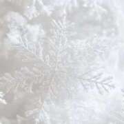 ヒメ日記 2025/12/21 17:15 投稿 さやか ビデオDEはんど 名古屋校