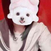 ヒメ日記 2025/12/27 11:05 投稿 さやか ビデオDEはんど 名古屋校