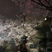 るーちむ 🌸出勤してます イクイクサークル鶯谷店