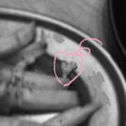 ヒメ日記 2025/10/20 08:01 投稿 香咲　えみり イラマチーオ池袋店