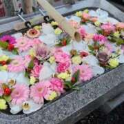 新人ゆきな 明けましておめでとうございます! ミスミセス