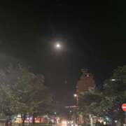 ヒメ日記 2026/01/21 18:02 投稿 佐倉　かえで プルプル京都性感エステ　はんなり