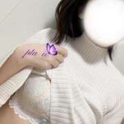 ヒメ日記 2025/11/11 17:44 投稿 イオさん －PTA－