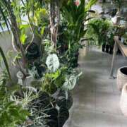 ヒメ日記 2025/12/16 17:05 投稿 イオさん －PTA－