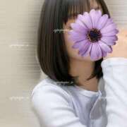 ヒメ日記 2026/04/07 17:54 投稿 イオさん －PTA－