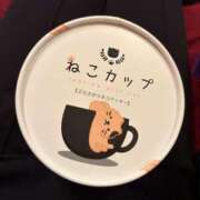 ヒメ日記 2026/08/09 17:34 投稿 イオさん －PTA－