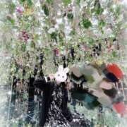 ヒメ日記 2026/02/26 12:56 投稿 夏樹みくる Cawaiiハイ！スクールリターンズ