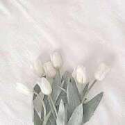 九条みやび 休日の過ごし方 制服×コスプレ アオハルスイッチ