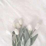 ヒメ日記 2026/04/08 13:26 投稿 九条みやび 制服×コスプレ アオハルスイッチ