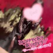 ヒメ日記 2025/10/19 12:48 投稿 じゅな チューリップ土浦店
