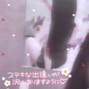 ヒメ日記 2025/11/04 21:32 投稿 じゅな チューリップ土浦店