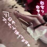 ヒメ日記 2025/11/12 14:18 投稿 じゅな チューリップ土浦店