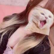 ヒメ日記 2025/11/04 14:01 投稿 るあ 新宿プチドール