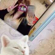 ヒメ日記 2025/11/08 13:29 投稿 るあ 新宿プチドール