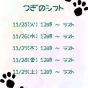 ヒメ日記 2025/11/09 08:16 投稿 るあ 新宿プチドール