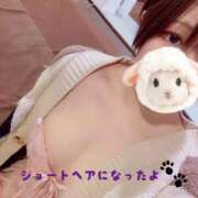 ヒメ日記 2025/11/25 12:29 投稿 るあ 新宿プチドール