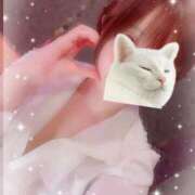 ヒメ日記 2025/12/26 12:12 投稿 るあ 新宿プチドール