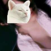 るあ ら す と ⑤ 新宿プチドール