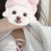 ヒメ日記 2025/11/01 08:00 投稿 こはく 新橋フェアリーズ