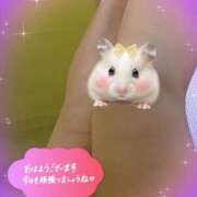 ヒメ日記 2025/11/23 10:25 投稿 佐和（さわ） 熟女の風俗最終章 大宮店