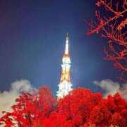 ヒメ日記 2025/10/12 21:19 投稿 神咲 花 ELEGANCE