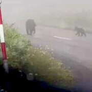 ヒメ日記 2025/11/07 15:09 投稿 神咲 花 ELEGANCE