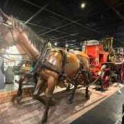 ヒメ日記 2026/02/10 20:19 投稿 神咲 花 ELEGANCE