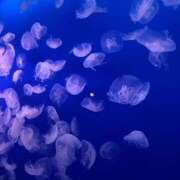 ヒメ日記 2025/11/01 17:39 投稿 星空　きらら NADIA京都店