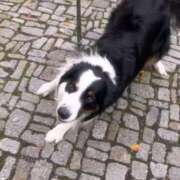 しゅうか 出勤予定です(⑉• •⑉)❤︎ サティアンまーと