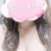 ヒメ日記 2025/11/14 11:48 投稿 かなう 池袋人妻城