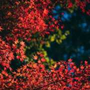 ヒメ日記 2025/11/06 23:00 投稿 まき 妻天 尼崎店