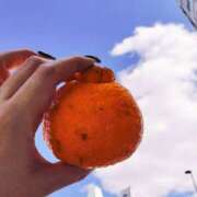 まき 今日のお散歩 妻天 尼崎店