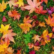 坂本☆エロ天使 ハッピーメール(*'▽'*) 五反田人妻城