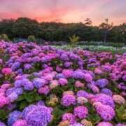 坂本☆エロ天使 スペシャルな日♪ 五反田人妻城