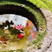 さよ 明日明後日　ご予約ありがとうございます 神戸人妻援護会