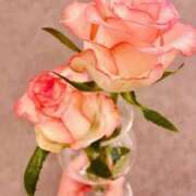 ヒメ日記 2026/02/14 10:56 投稿 さよ 神戸人妻援護会