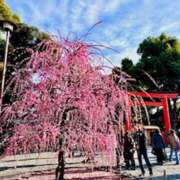 ヒメ日記 2026/03/02 17:54 投稿 さよ 神戸人妻援護会