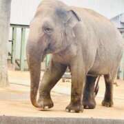 ヒメ日記 2026/02/05 19:36 投稿 さよ 尼崎人妻援護会