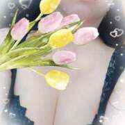 ヒメ日記 2026/02/26 23:24 投稿 あみか 藤沢人妻城