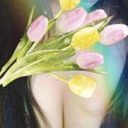 ヒメ日記 2026/03/07 22:24 投稿 あみか 藤沢人妻城