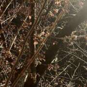 ヒメ日記 2026/03/17 20:59 投稿 あみか 藤沢人妻城